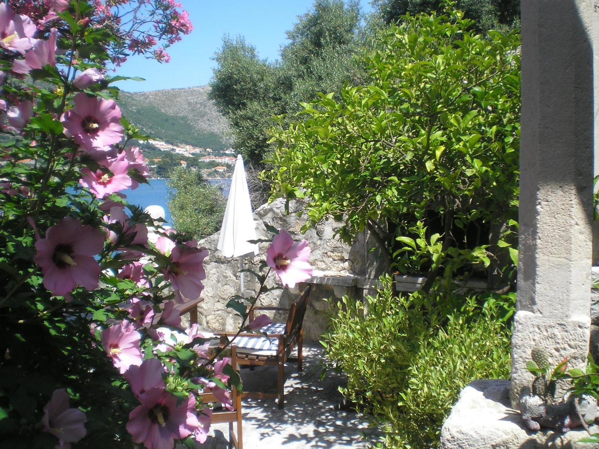 Villa Gverovic Štikovica Rom bilde